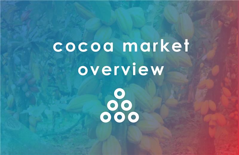 Cocoa Market Overview